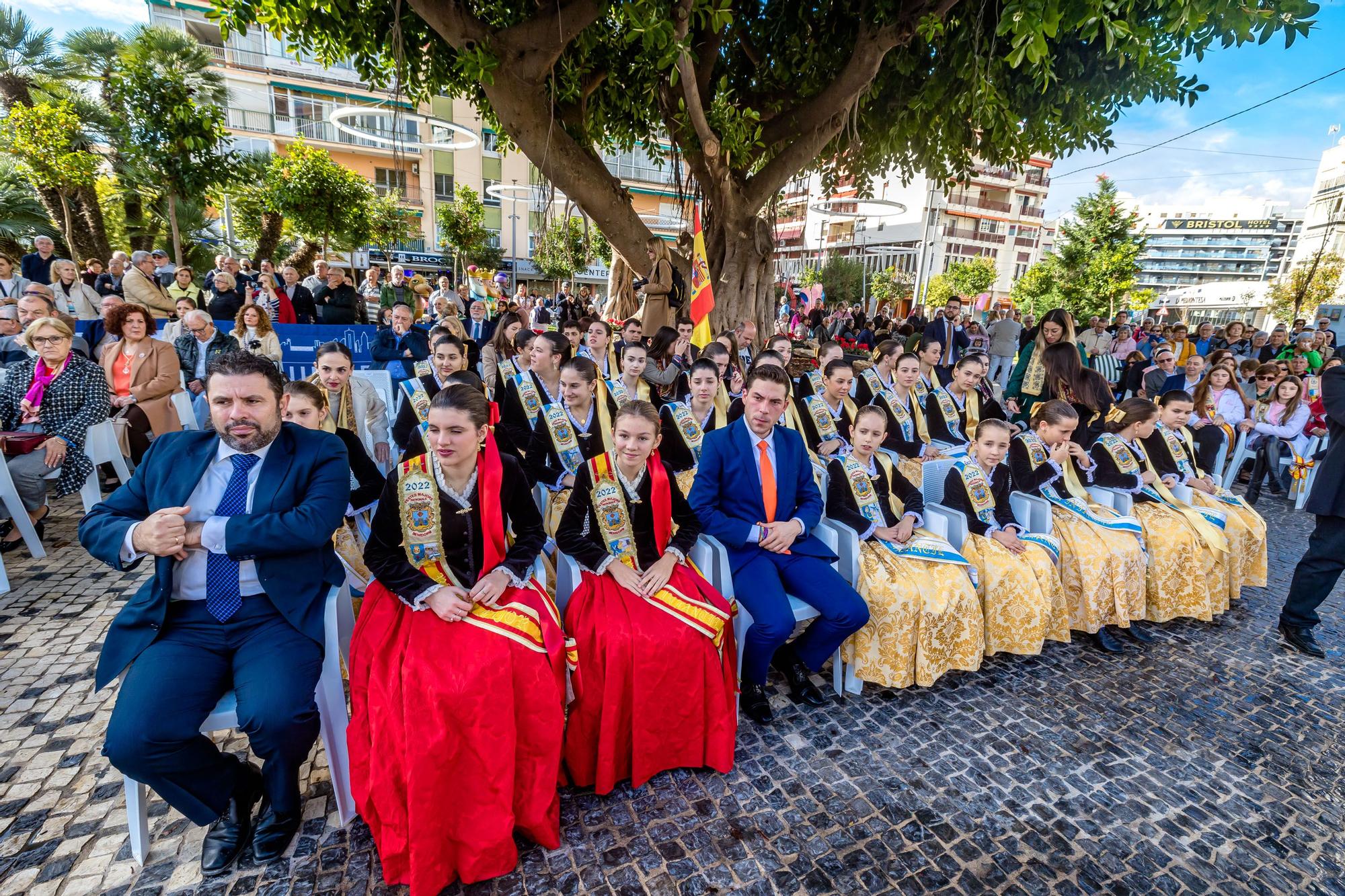 Pleno Día de La Constitución en Benidorm