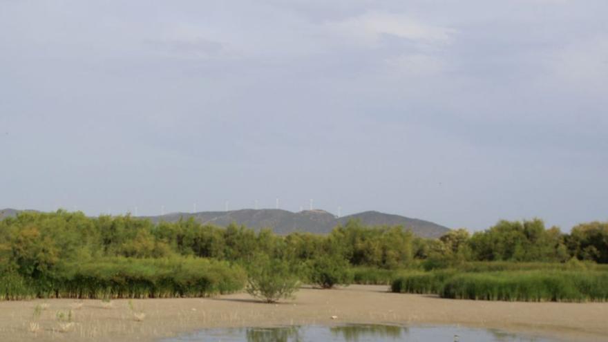 La comarca de Antequera se une frente a la sequía