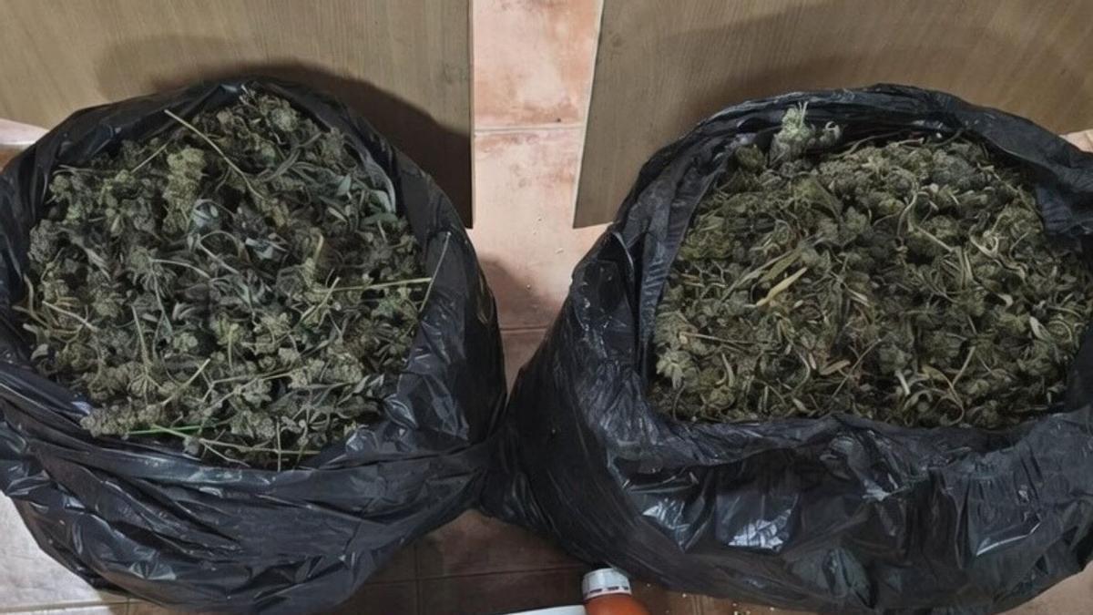 Detalle de las dos bolsas de basura con la sustancia requisada.