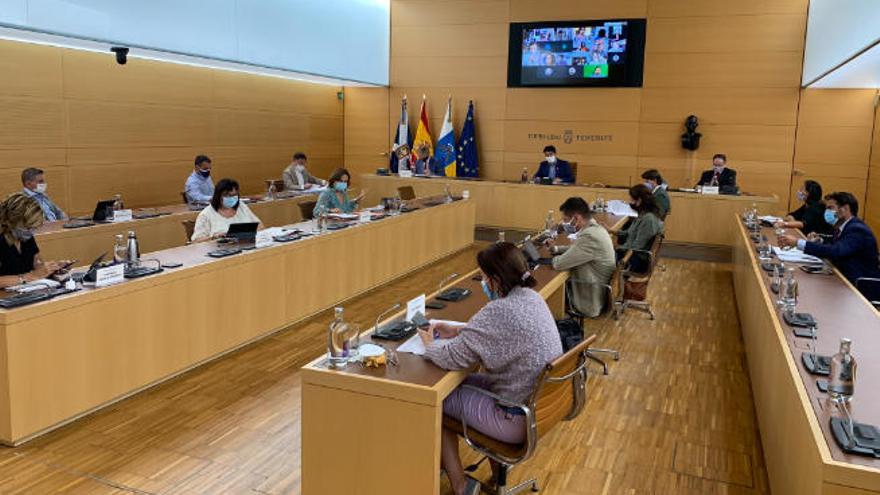 Pleno Extraordinario celebrado este lunes en el Cabildo de Tenerife.