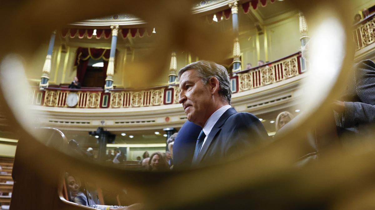 Alberto Núñez Feijóo, en el Congreso.