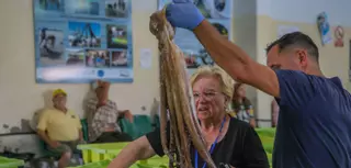 Buen arranque de la campaña del pulpo en Arousa, con el doble de capturas que en 2024