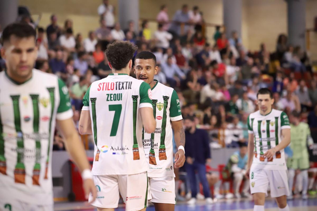 Córdoba Futsal-Jimbee Cartagena: el partido de Vista Alegre en imágenes Córdoba Futsal-Jimbee Cartagena: el partido de Vista Alegre en imágenes