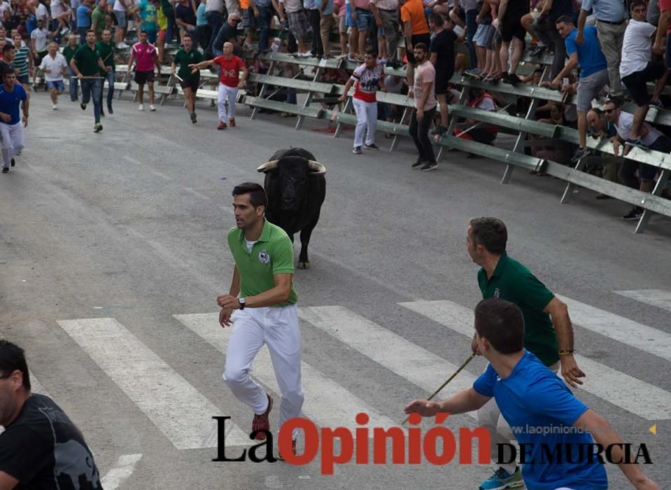 Quinto encierro en Calasparra