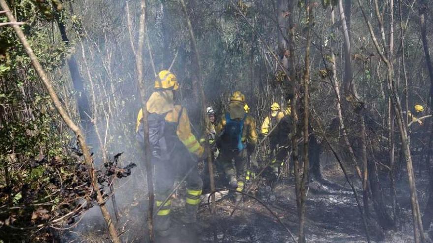 Brigadistas en medio de unos árboles quemados por las llamas, en Cotobade. // Noé Parga