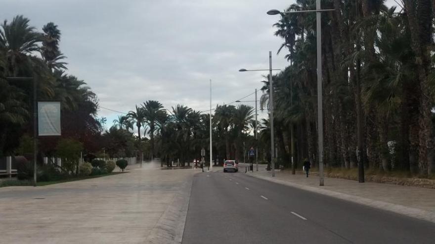 El Paseo de la Estación de Elche se queda sin la bandera