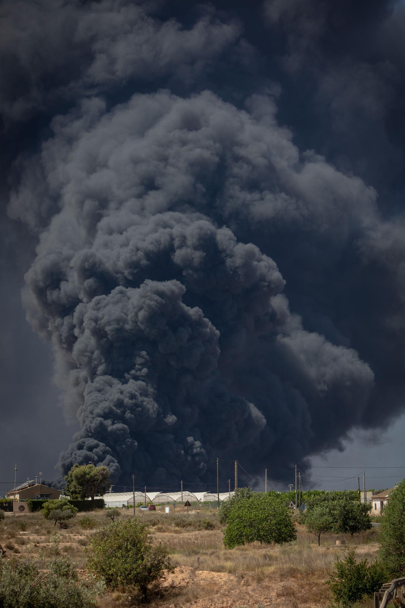 Las impactantes imágenes del incendio en una empresa de frutas de Fuente Álamo