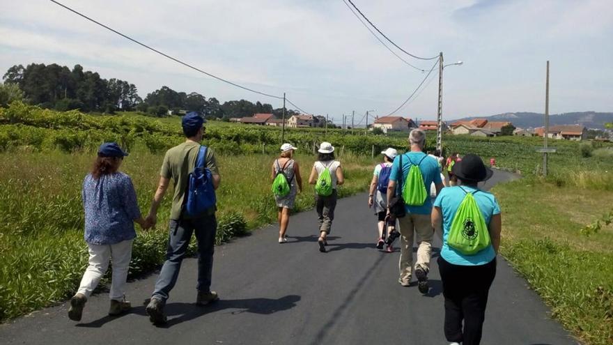 Un momento de la ruta entre viñedos.