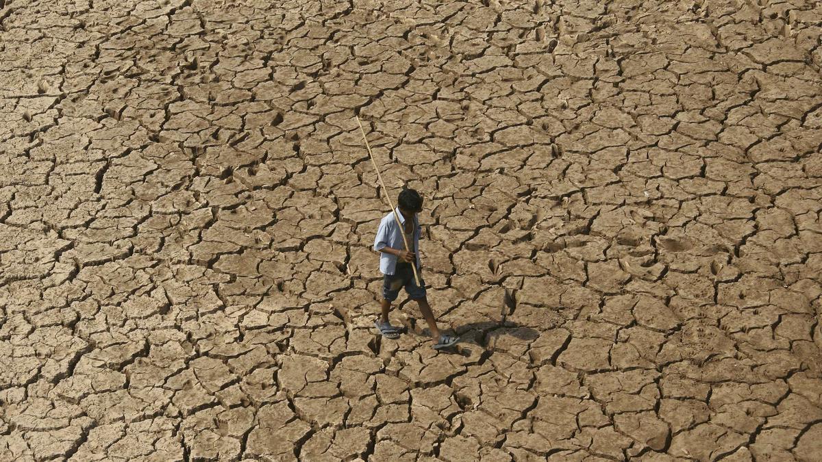 Las olas de calor han causado pérdidas por 16 billones de euros en el mundo en 20 años