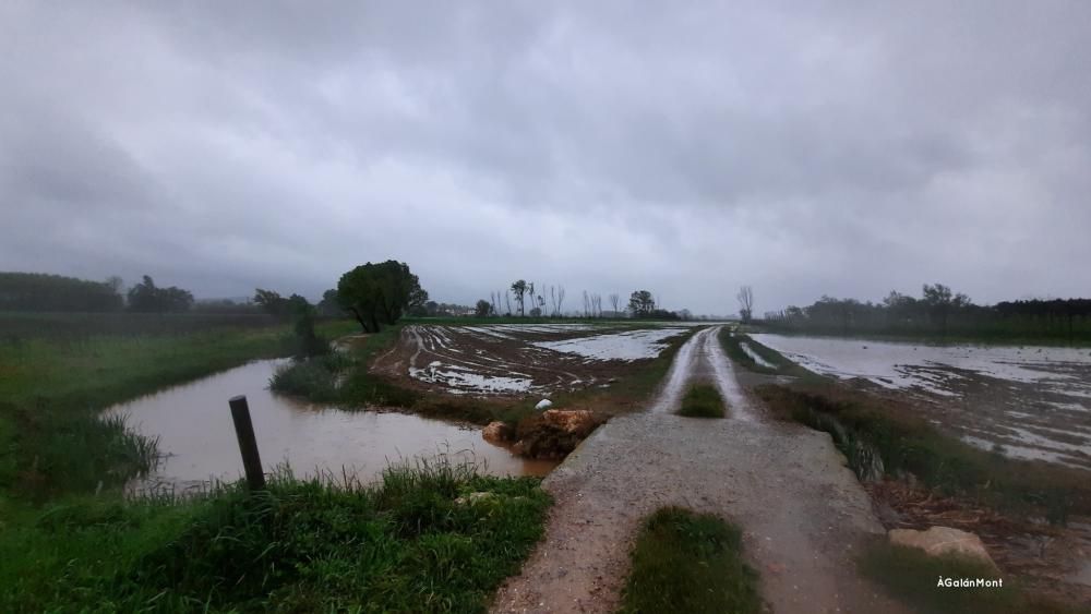 Un camp inundat a Verges