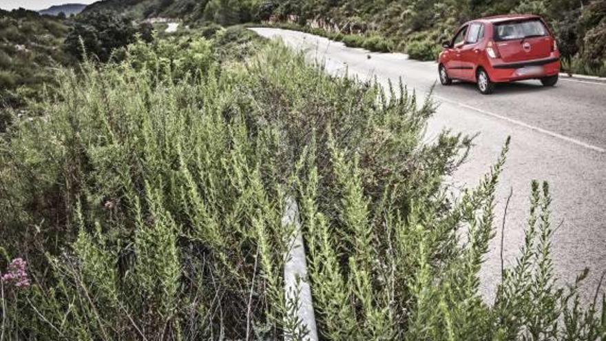 La increíble carretera menguante de l&#039;Orxa