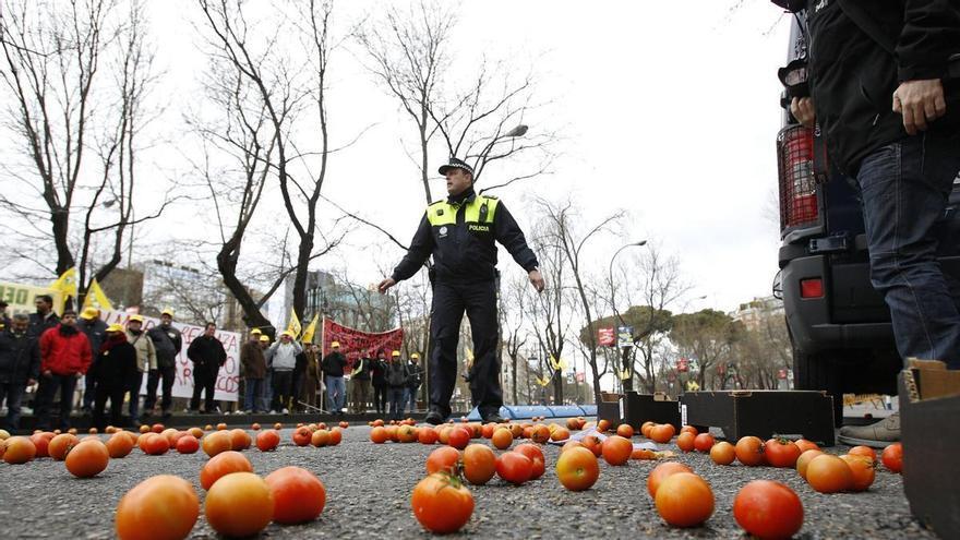 Bruselas refuerza su tratado comercial con Marruecos y pone contra las cuerdas a los productores españoles de frutas y verduras