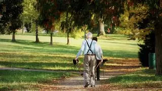 Viajes baratos para jubilados: el chollo de última hora para los pensionistas