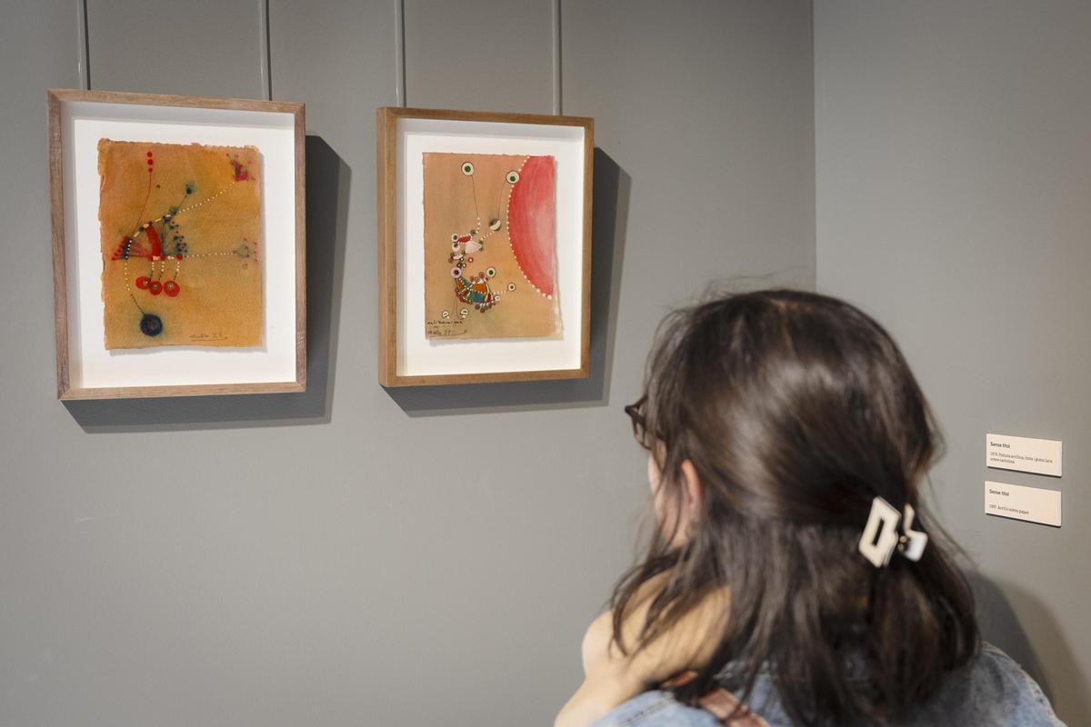 Algunes de les obres exposades a Olot.