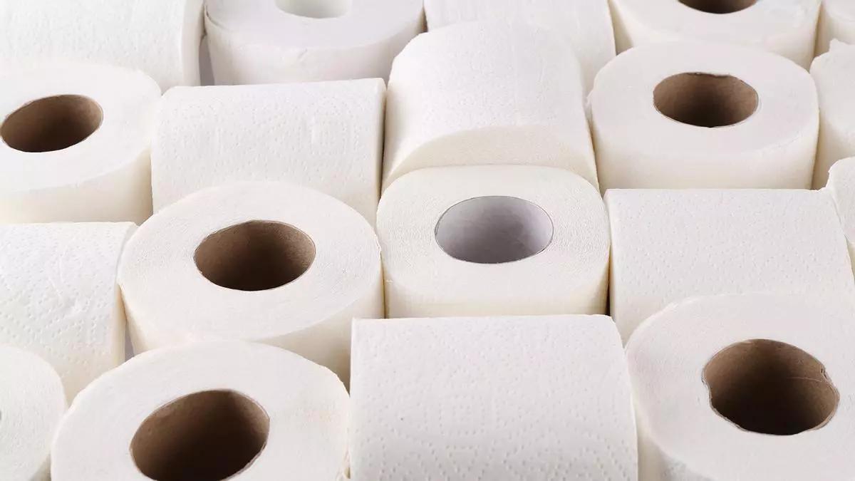 Varios rollos de papel higiénico.
