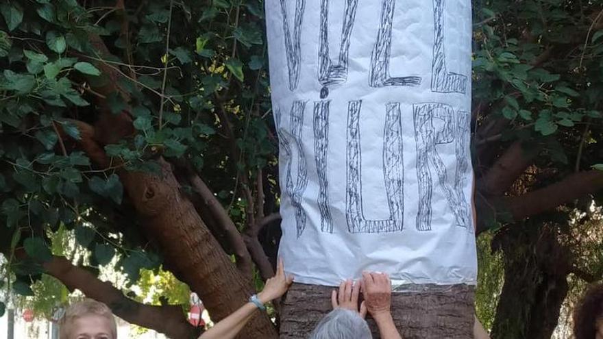 Los ecologistas reclaman un pleno urgente para evitar la tala de árboles centenarios en la antigua N-332 en Sueca