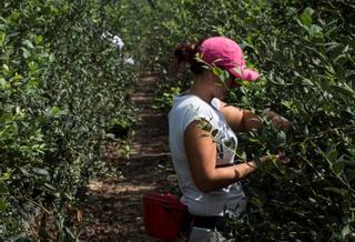 Un trabajador inmigrante gana de media 7.000 euros menos al año que un español