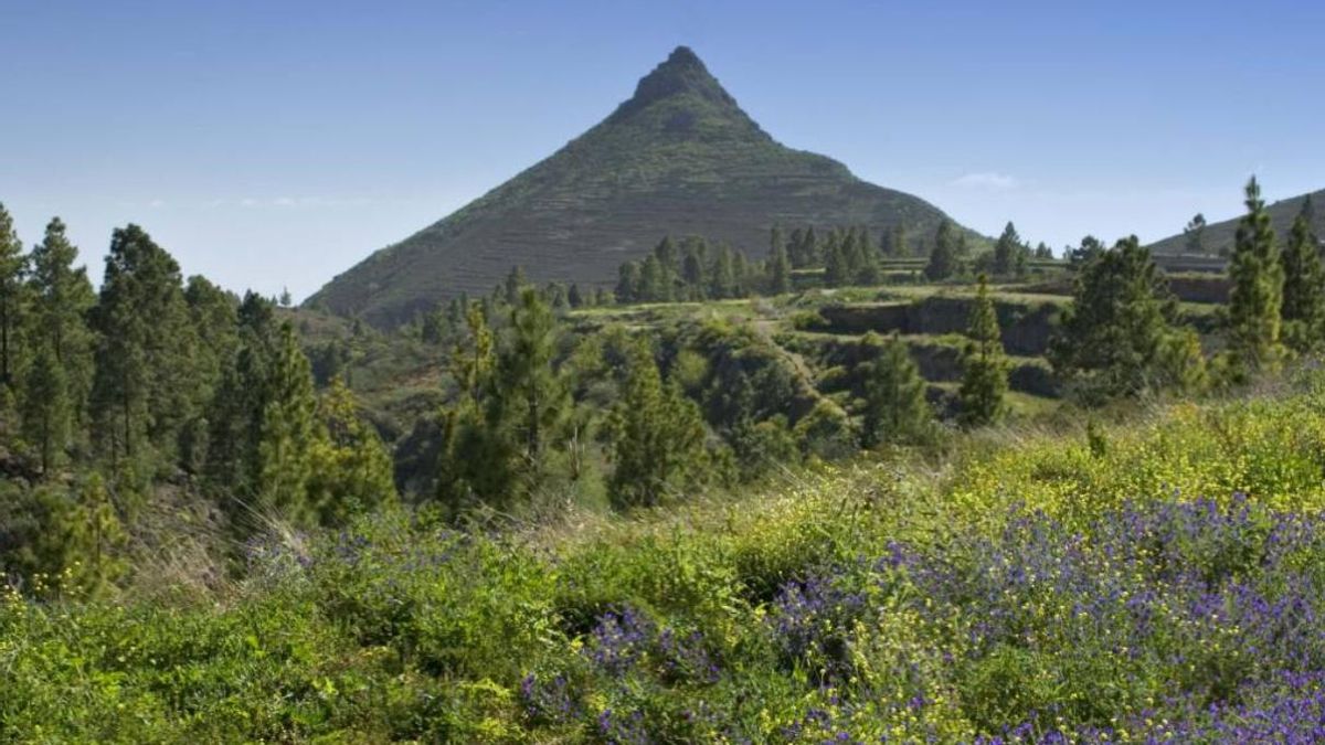 Camino del Topo.