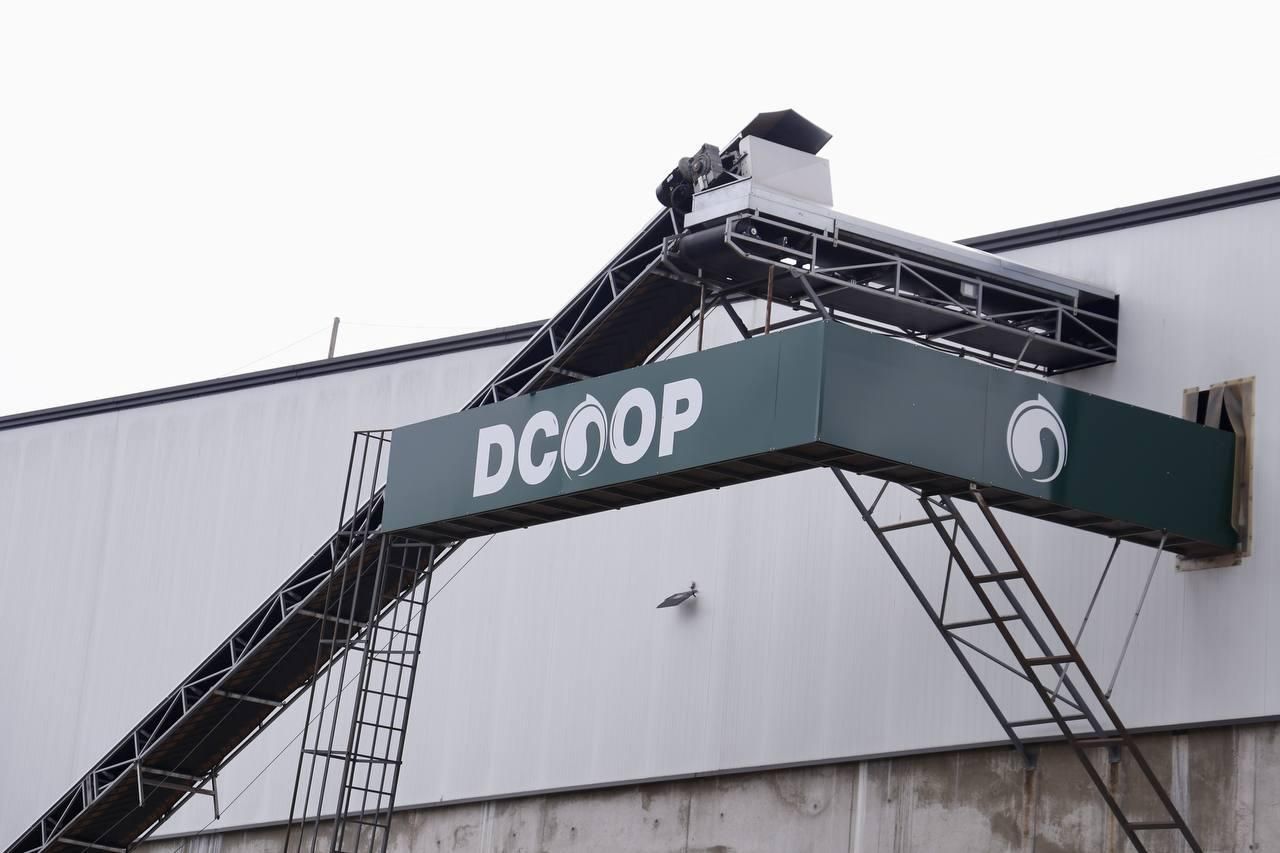 La nueva planta de almedras de Dcoop en Córdoba, en imágenes