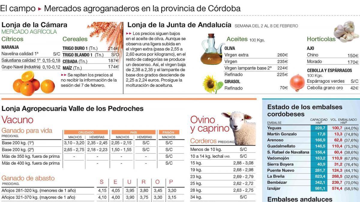 Los bajos precios ralentizan la cosecha de la naranja