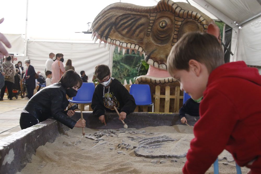 Los dinosaurios toman Córdoba