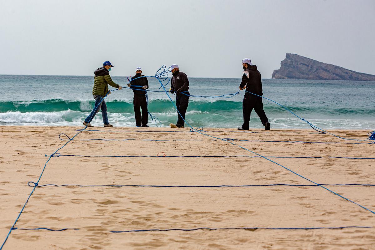 Operarios el servicio de playas colocando las cuerdas con las que Benidorm parceló sus arenales para fijar la distancia social.