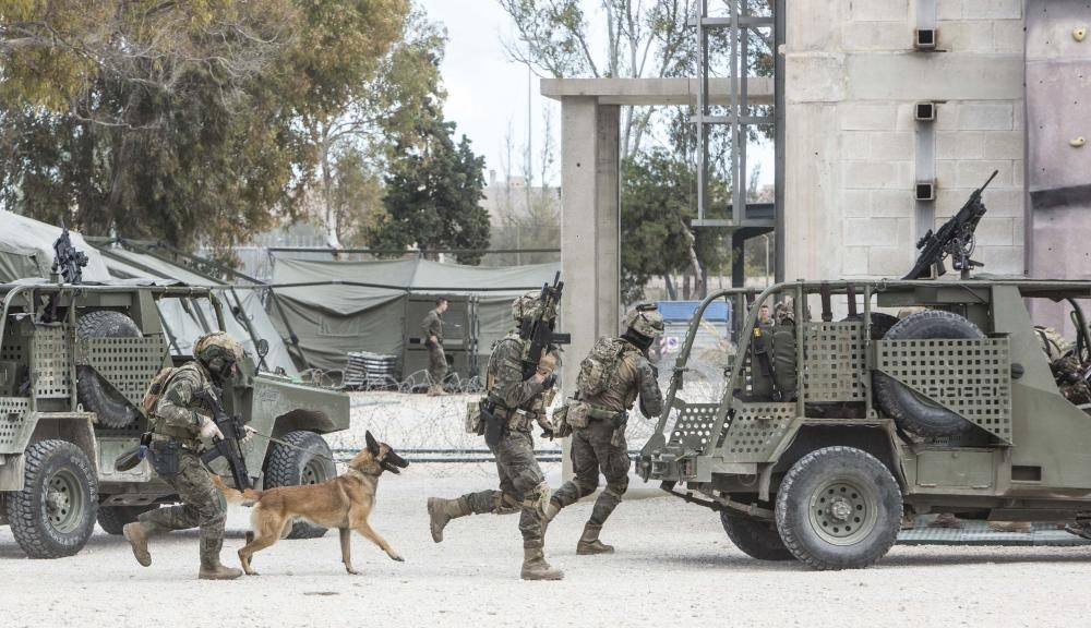 Los boinas verdes son soldados expertos en operaciones que, por su alta especialización, no pueden se desarrolladas por otras unidades, como el rescate de rehenes, reconocimientos especiales o captura