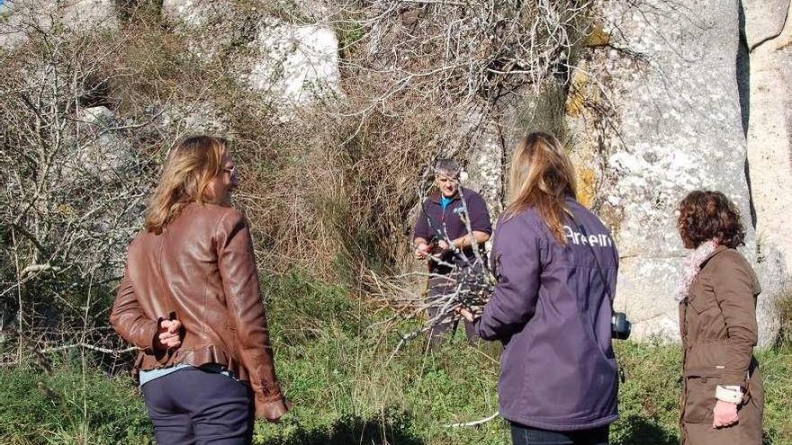 Los clones de la &quot;Figueira do Meco&quot; que cuidan los técnicos de la EFA y serán trasplantados en otoño. // FdV