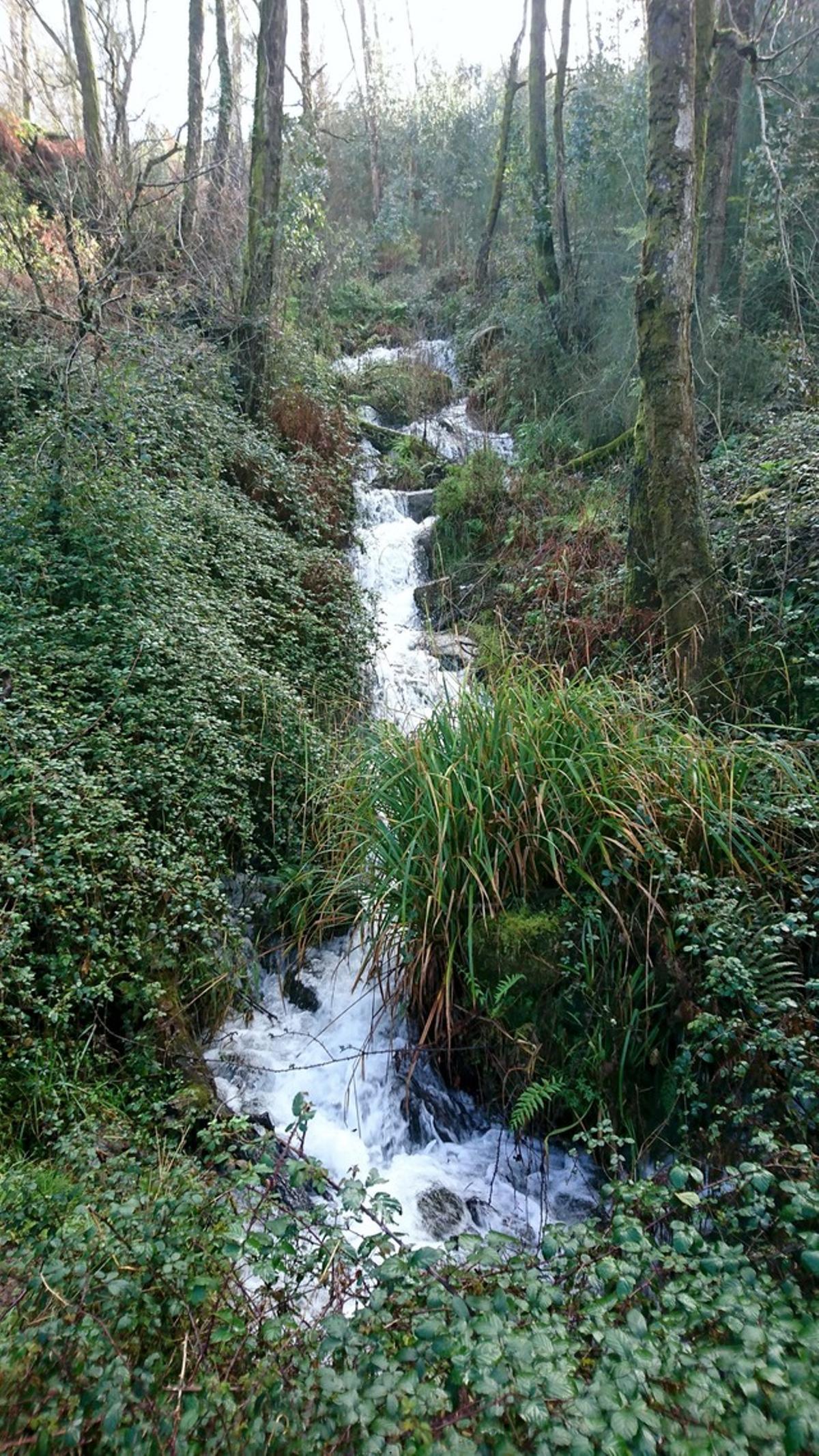 La cascada de As Lapas en el parque forestal de A Aguieira, en San Andrés de Comesaña.
