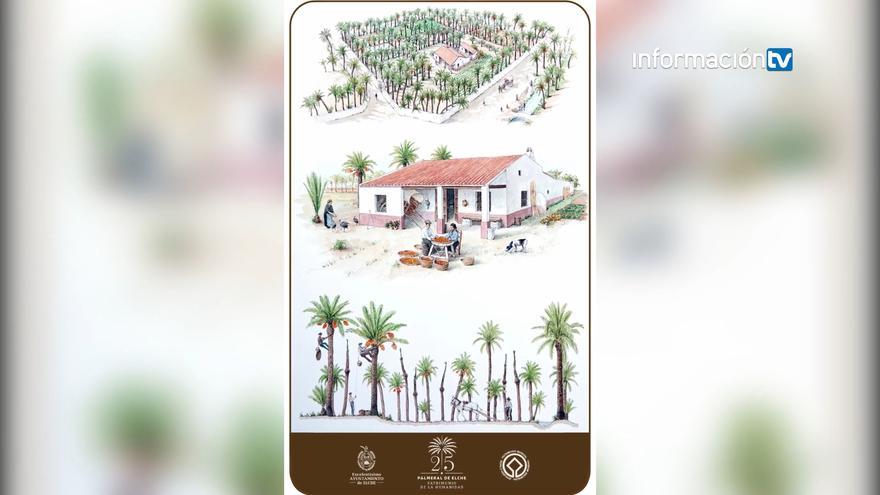 Elche prepara la celebración del XXV aniversario del Palmeral como Patrimonio de la Humanidad