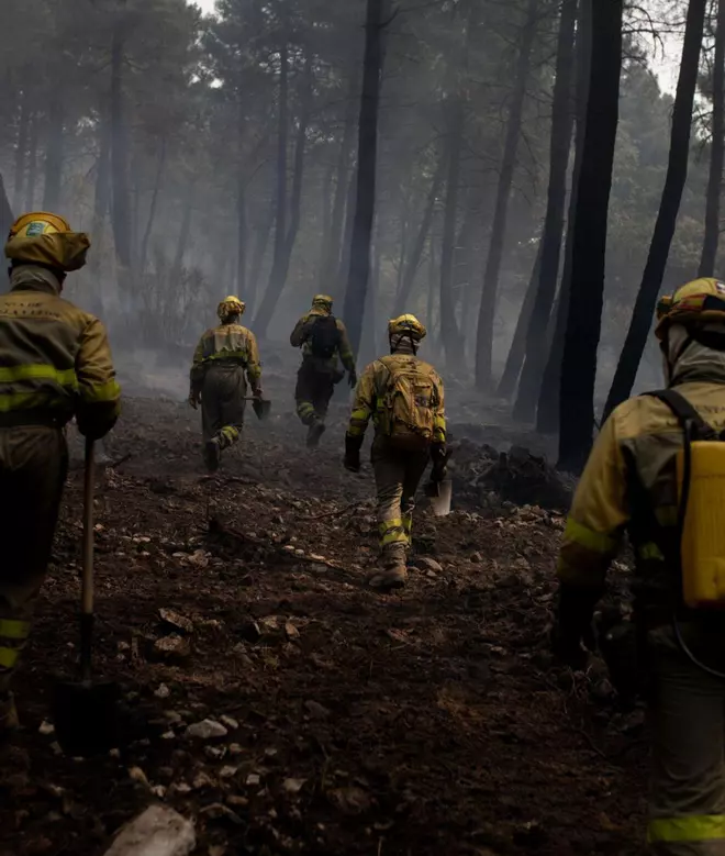 Funcionarios de la Junta en Zamora denuncian "carencia de medios y personal" en el incendio de la Culebra