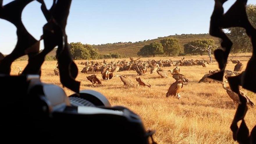 Blogueros y fotógrafos de viajes conocen el Tajo Internacional