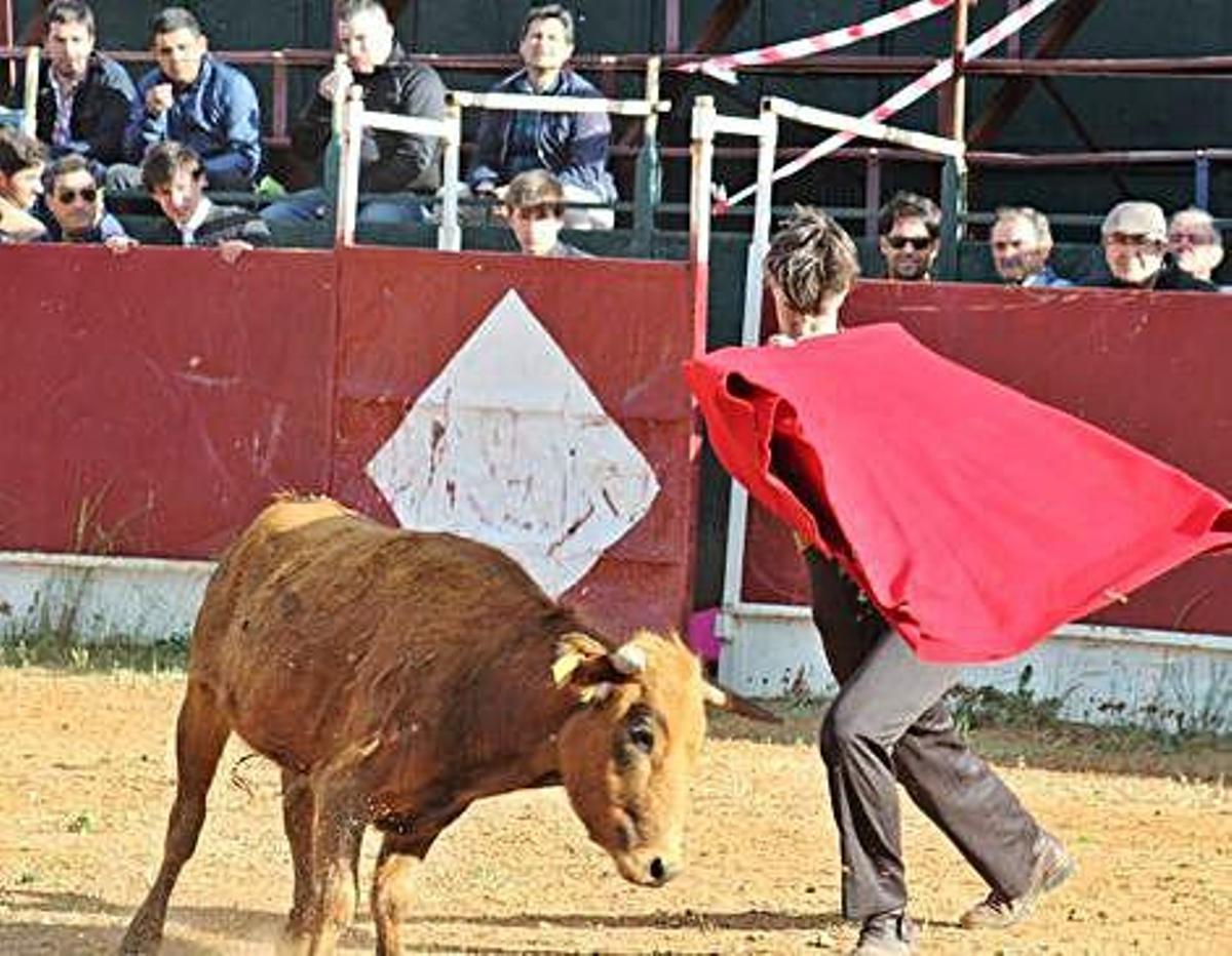 ¿Los últimos toreros?