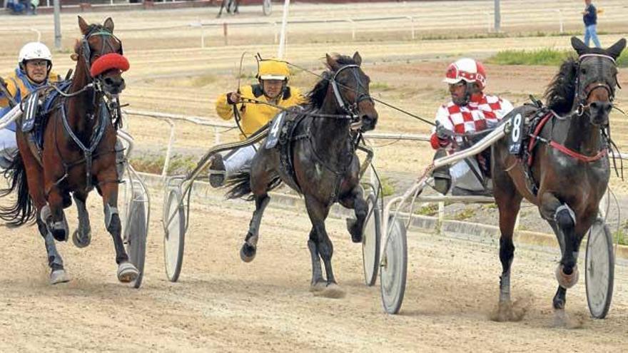 Dallas Victory, Debesei CM y la vencedora Districte Durán (8) en su apretado final de carrera.