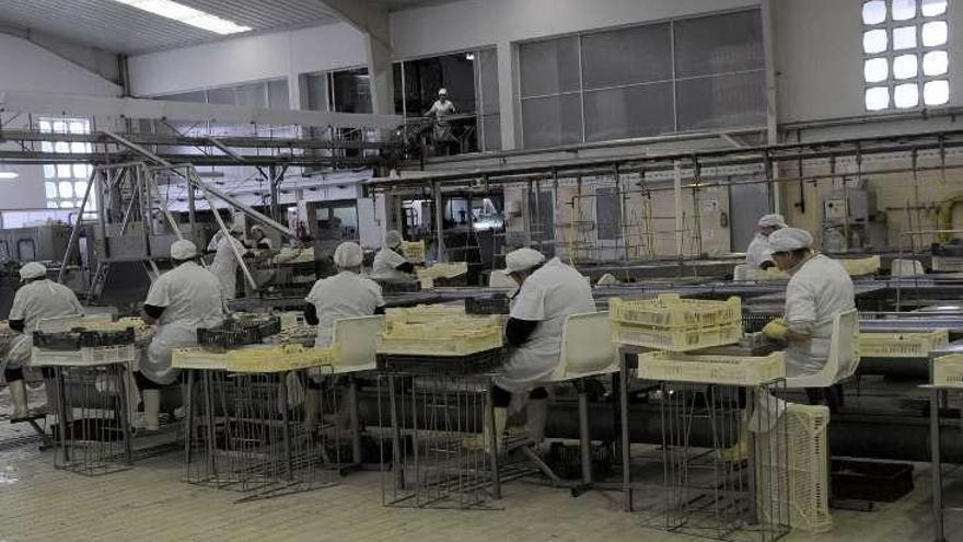 Trabajadoras en una fábrica de conservas gallega.
