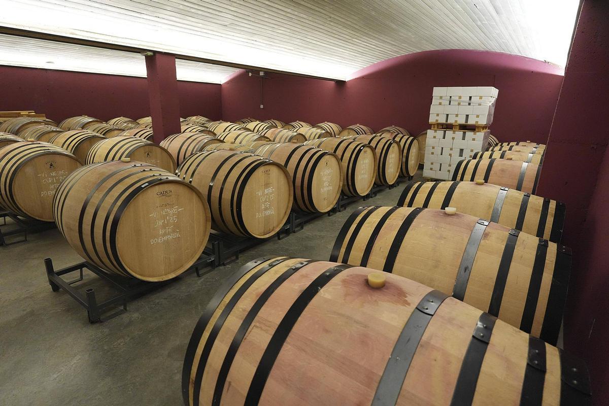 La sala de botes del celler Arché Pagès.