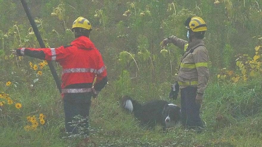 Una dotació de Bombers amb un gos a la riera de Riudaura.