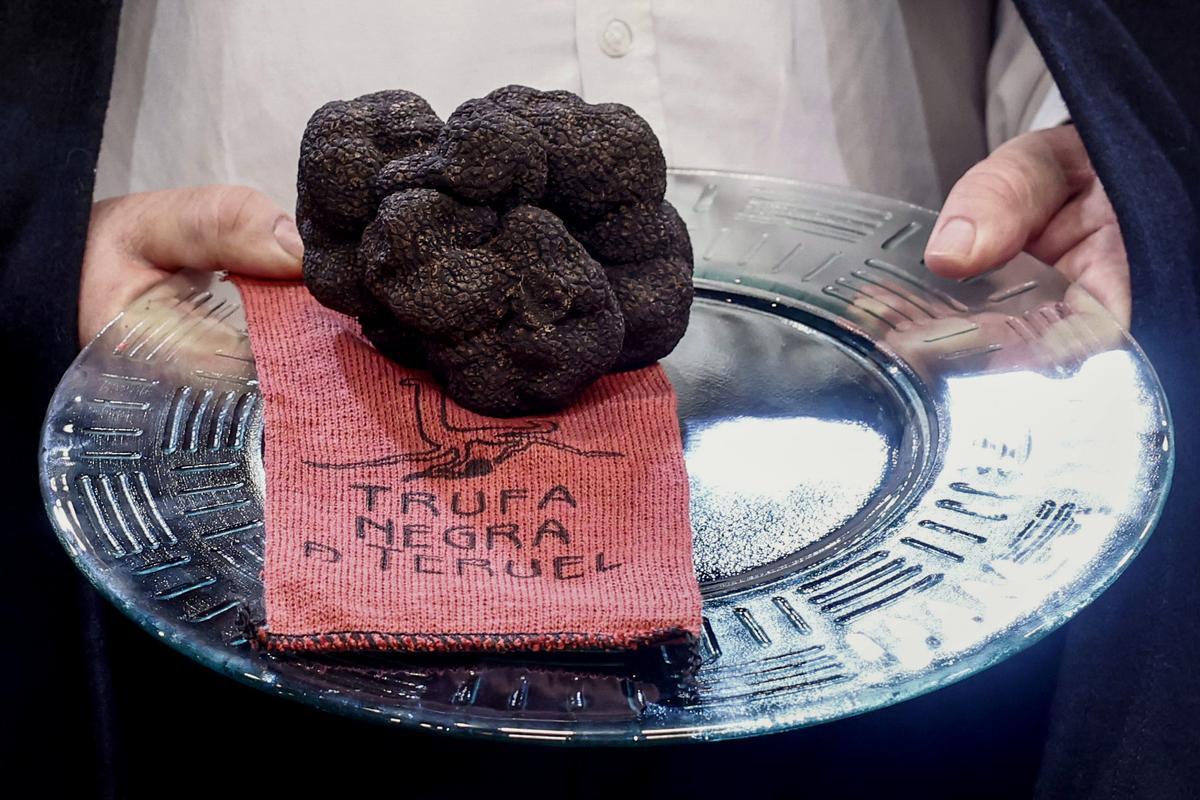 Vista de una de las Trufas Negras de Teruel, ganadoras en la subasta de Trufa con un importe de 15.000 euros, que irá destinado a las víctimas del accidente ferroviario de Adamuz (Córdoba), este madres en Madrid Fusion.