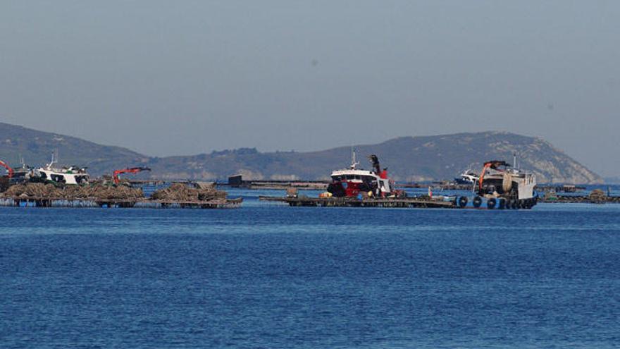 Bateas en la ría de Vigo frente a la costa de Cangas. // Gonzalo Núñez