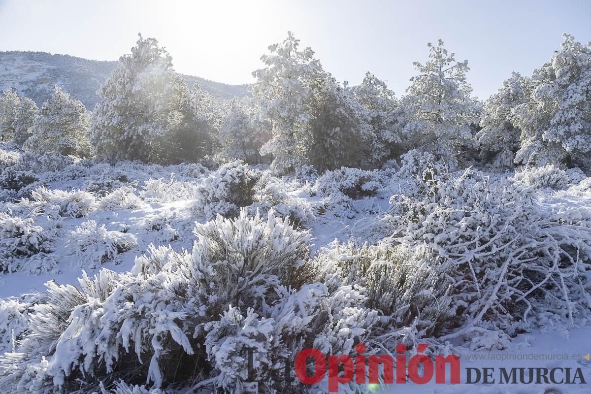 Descubre dónde queda acumulación de nieve en la Región de Murcia
