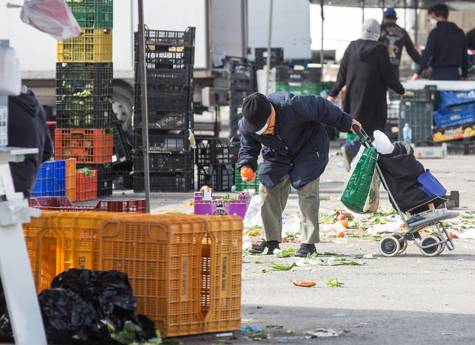 Desechos que alimentan en Alicante