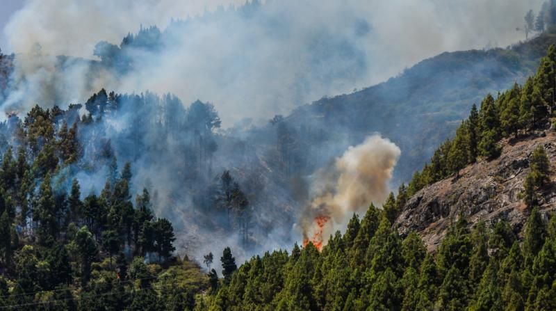 Incendio en  Gran Canaria