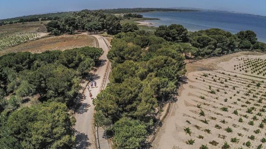 Foto: Panorámica de la laguna de La Mata/ Vídeo las atrevidas ardillas del Parque Natural de las Lagunas de Torrevieja y La Mata