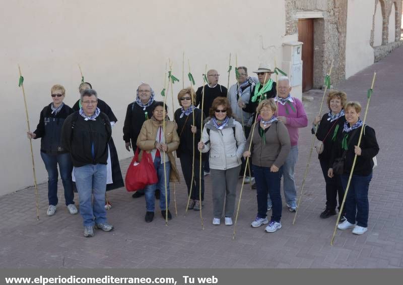 GALERÍA DE FOTOS - Romería Magdalena 2014 (2)