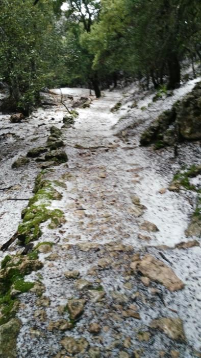 Am Freitag (1.12.) fielen weiße Flocken in Mallorcas Gebirge. Für Samstag wurde wegen möglichen Schneefalls im Norden von Mallorca Warnstufe Gelb ausgegeben.