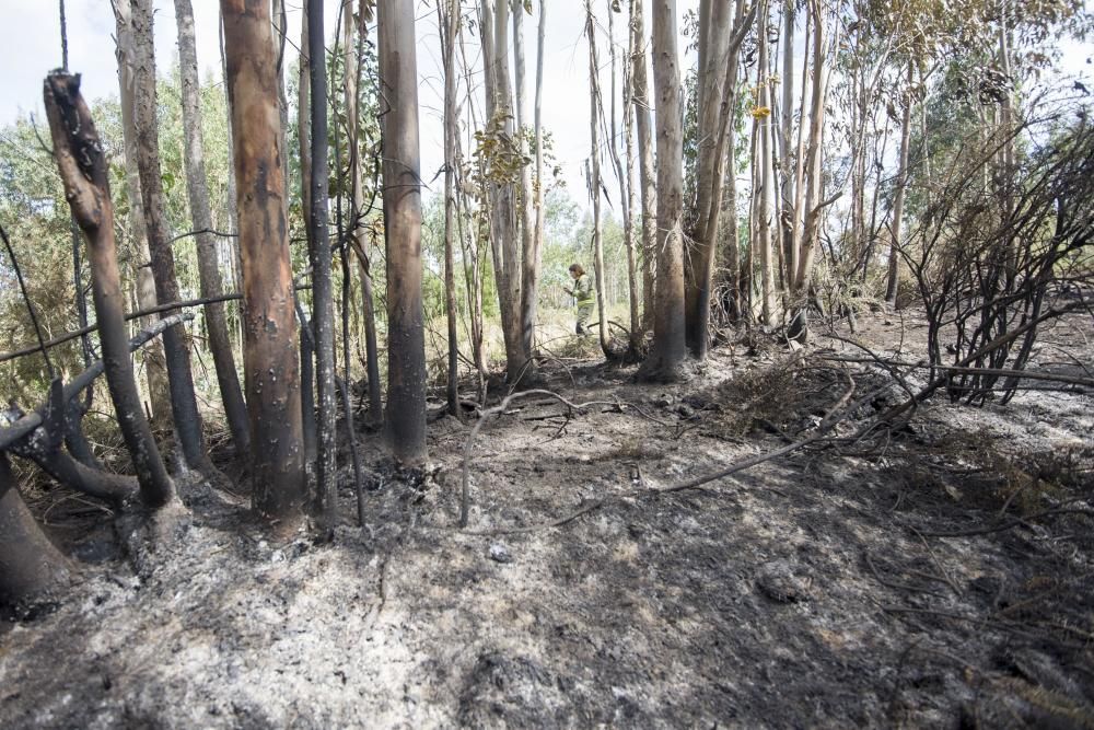 El operativo de extinción incluyó cuatro helicópteros y tres aviones y medios terrestres || Se tomó declaración a una testigo ante la sospecha de que el fuego fue provocado