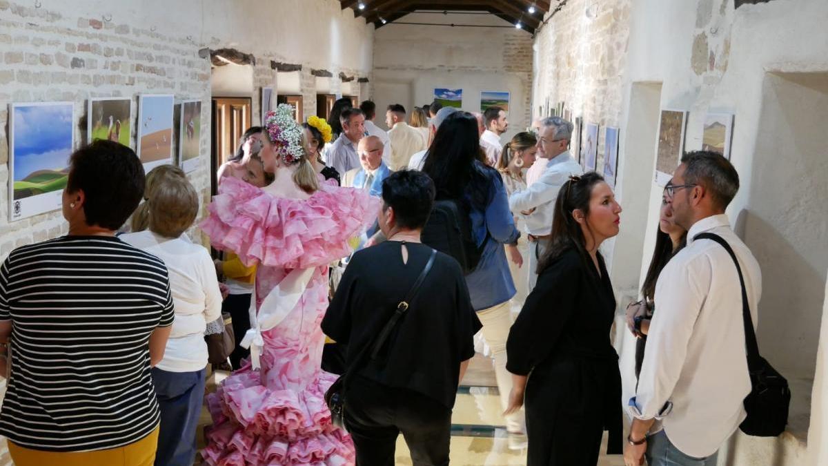 Exposición fotográfica sobre las aves esteparias