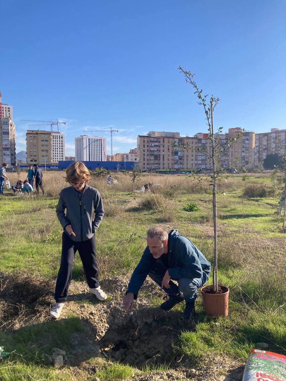 Bosque Urbano planta otros 30 árboles en los antiguos terrenos de Repsol