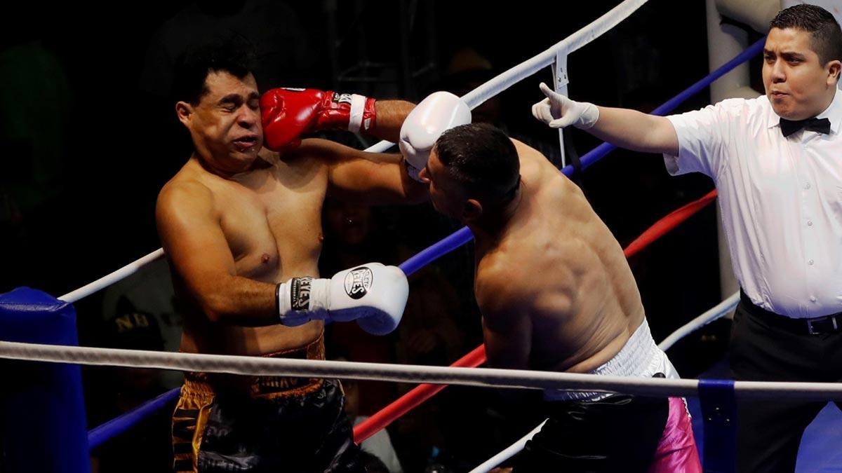 El combat de boxa entre els alcaldes.