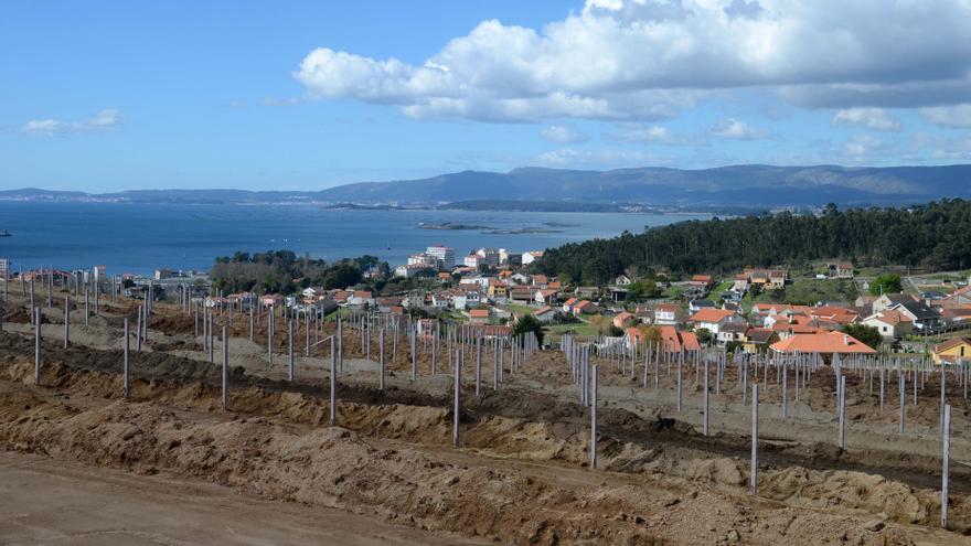 Consellería de Medio Rural e do Mar | Noticias de Consellería de Medio  Rural e do Mar - Faro de Vigo